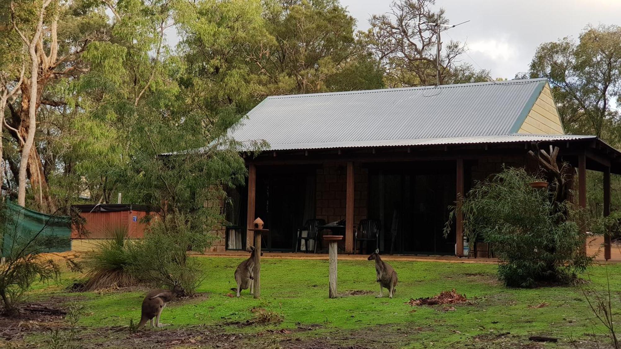 Yelverton Brook Conservation Sanctuary Metricup Exterior foto