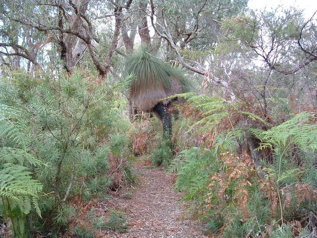 Yelverton Brook Conservation Sanctuary Metricup Exterior foto